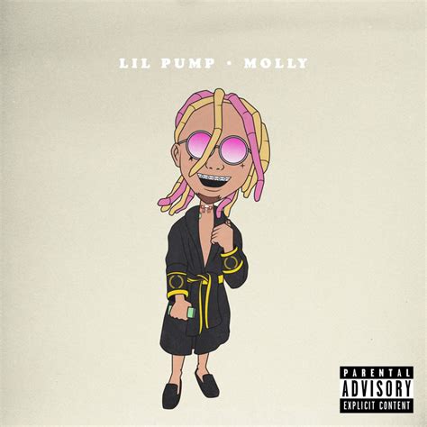 i got givenchy all over my coat|Lil Pump – Molly Lyrics .